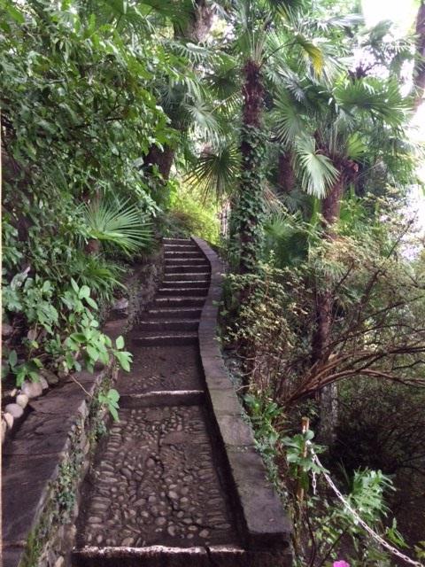 Living the conscious life - interview shrinkrapradio.com/470-the-cycle-…; the book amazon.com/gp/product/192…