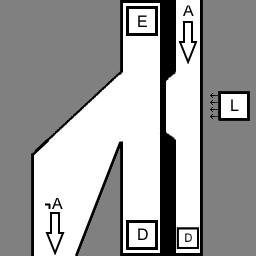 Puffski's tweet image. #euglena #notgate