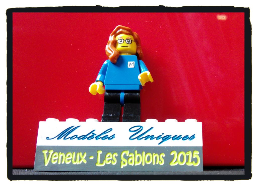 ModelesUniques's tweet image. Expo Lego ce weekend à Veneux Les Sablons.
