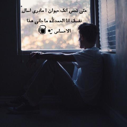 فيه ناس جايه على بالي والي على راسه بطحه يتحسسها عالم حواء