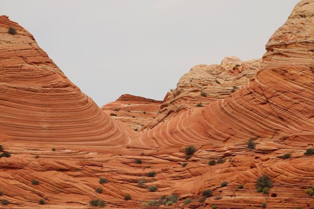 NatlParksPhotos's tweet photo. by loadedpixel: Meanwhile... on Planet Pancakes... 😜 #hiking #adventure #desert #wirepass #Utah http://t.co/RMZikfvze8
