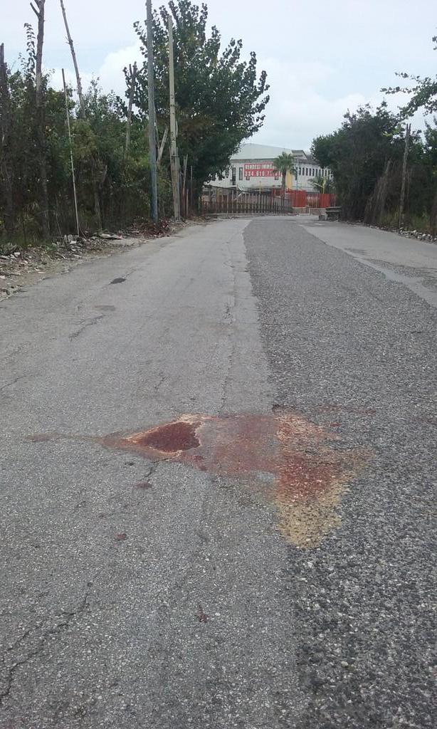 2PARY2's tweet image. #Traccia omicidio#26enne#via Louis Beriot#con Francesco Errico#Prima Pagina#