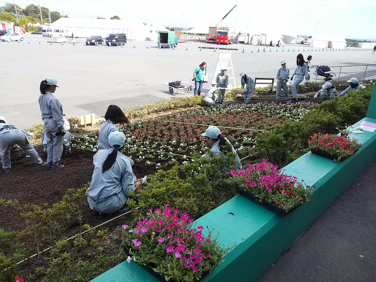 四日市農芸高校 園芸デザインコース のみなさんが 種から育てたペチュニアを F1日本グランプリで来場される世界中の人を 華やかにお出迎えしたい という想いを込めて Gpスクエア内の花壇に植えてくださいました F1jp 鈴鹿サーキット Scoopnest