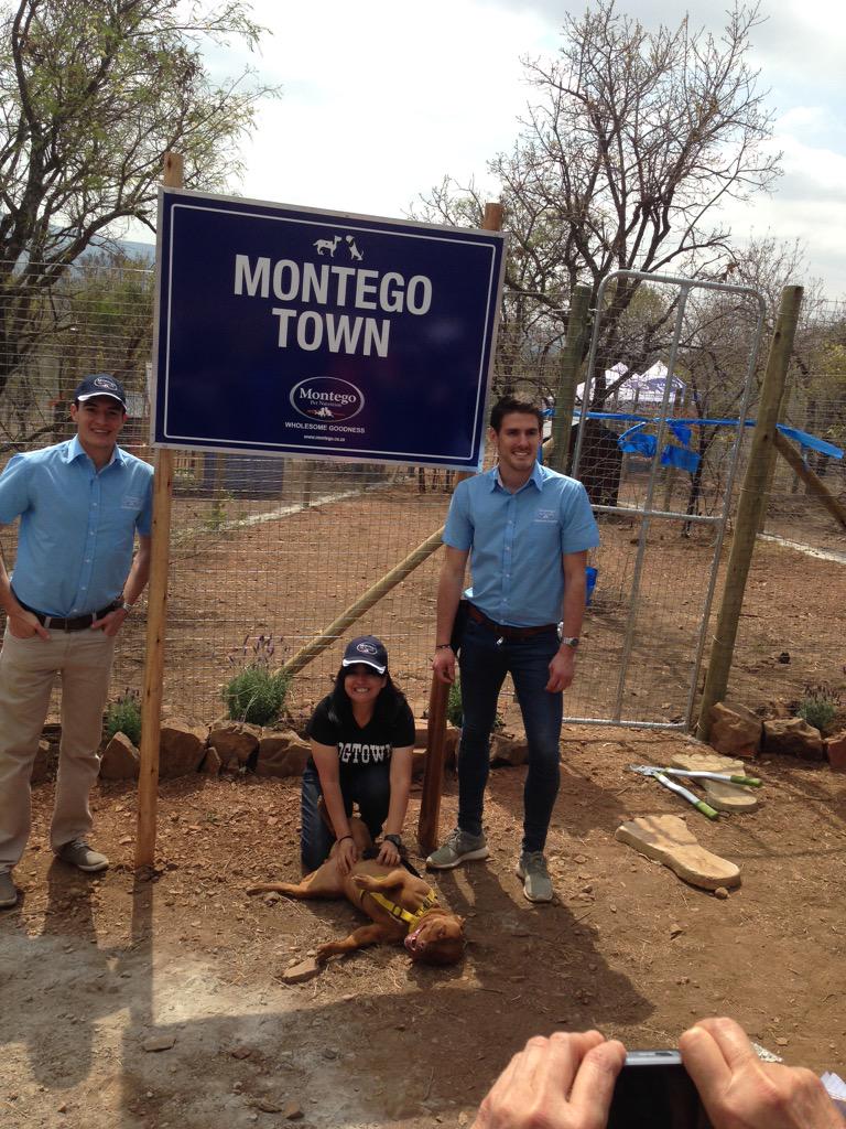 jamesfourie's tweet image. Great morning spent @Montegopets @BarkingMad4dogs on the launch of the new shelters. #ChangeTheWayYouSeeTheWorld