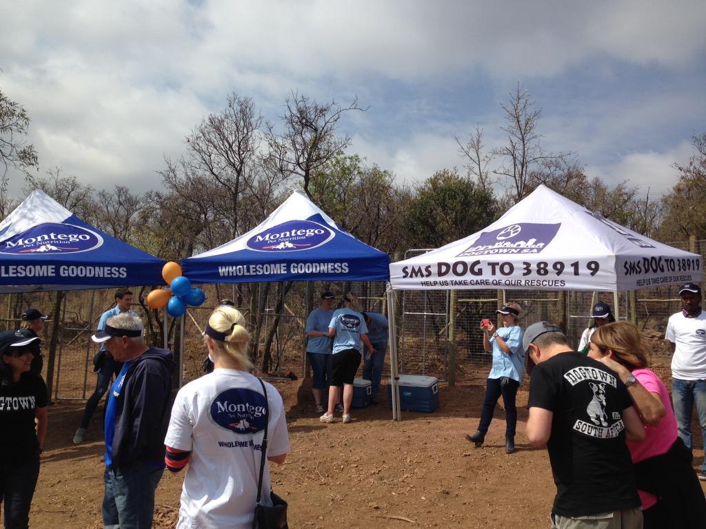 jamesfourie's tweet image. Great morning spent @Montegopets @BarkingMad4dogs on the launch of the new shelters. #ChangeTheWayYouSeeTheWorld