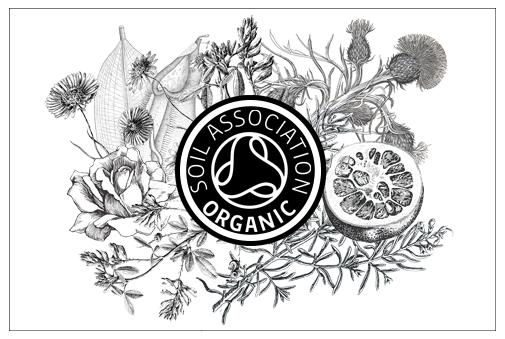 beingcontent's tweet photo. Why choose #organic? Here's why: http://t.co/GqAo8o5PU7 #beauty #Campaign4Clarity #OrganicSemptember @SoilAssociation http://t.co/ysPvXDGgm7