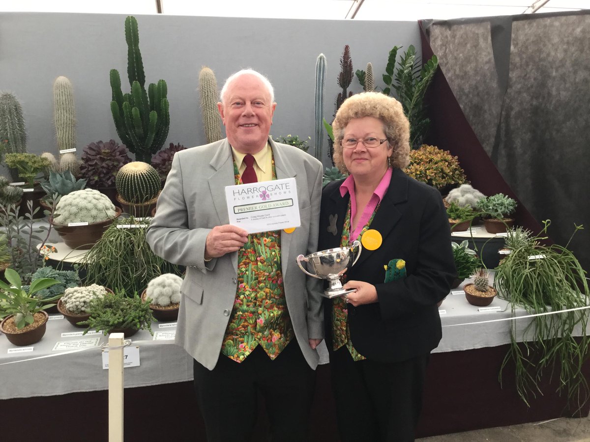 Premier Gold and the Allen Trophy at #harrogateflowershow #cactuscouple #cactus #succulents #cacti <a href="/HarrogateFlower/">HarrogateFlowerShow</a>