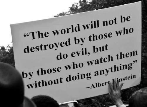 bcwilliams92's tweet image. The world will not be destroyed by those who do evil, but by those who watch them without doing anything

#ccot