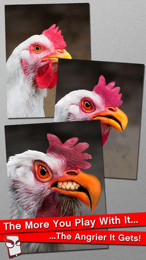 Chokey Chicken tweet media