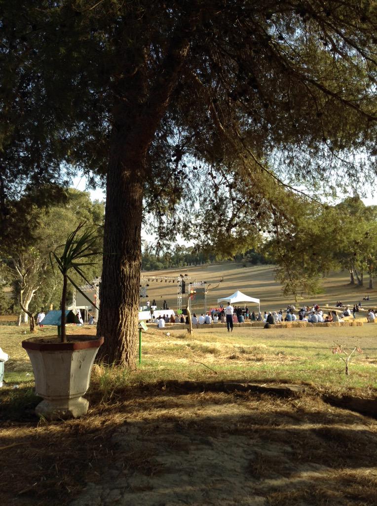 Johnny Ward est toujours sur scène et répond aux questions du #picnicdz