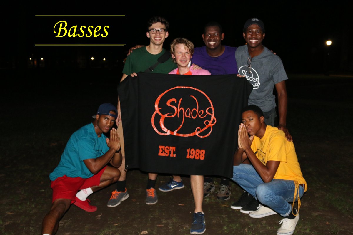 Are you ready for the next generation of Shades?
We've got our Basses down on lock