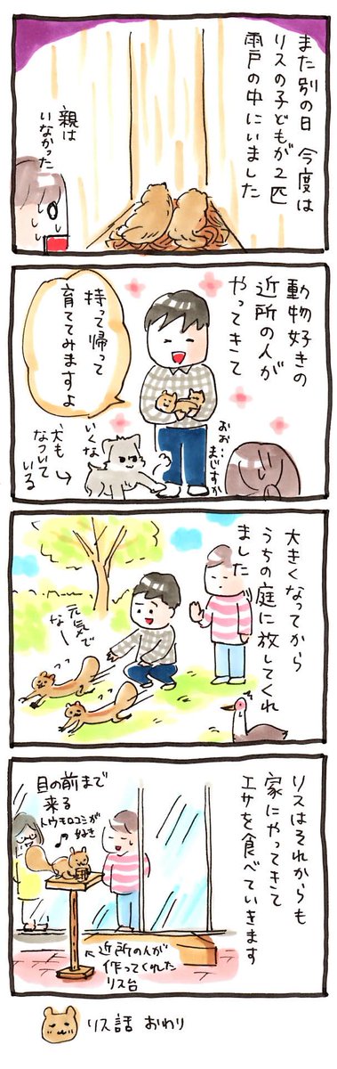 動物4コマ日記#29「リスin雨戸(3)」#4コマ 