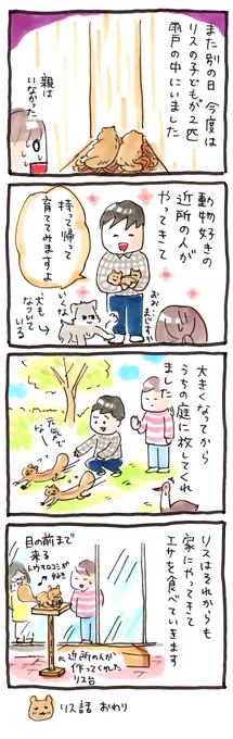 動物4コマ日記#29「リスin雨戸(3)」#4コマ 