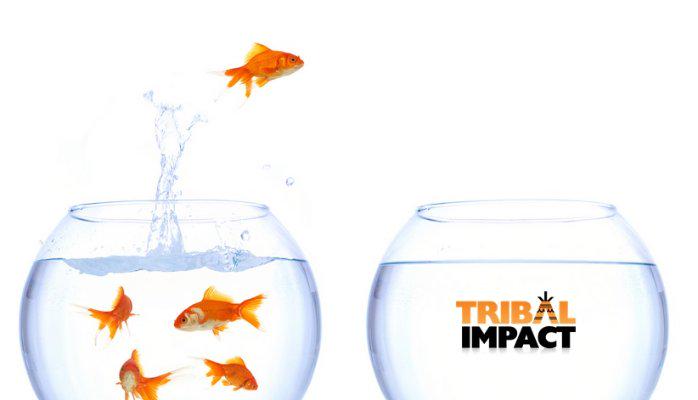 greykite's tweet photo. Life After @SAP: #BrandFan @SarahGoodall launches Tribal Impact http://t.co/79Vz0lt5Lg #AdvocacyMarketing http://t.co/Ac6ZOBHbm4