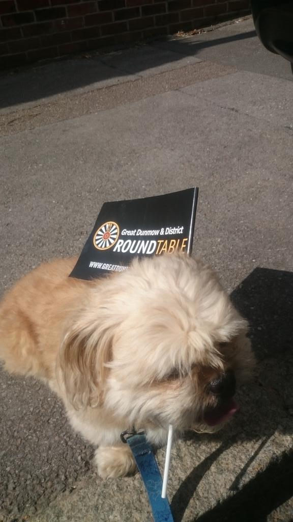 jaymajor24's tweet photo. Supporting the #Dunmow #carnival2015 &amp; all the good work @GreatDunmowRT dose 4 the @Dunmow_Carnival @dunmowbroadcast🎉 http://t.co/ks7pcG0yzo