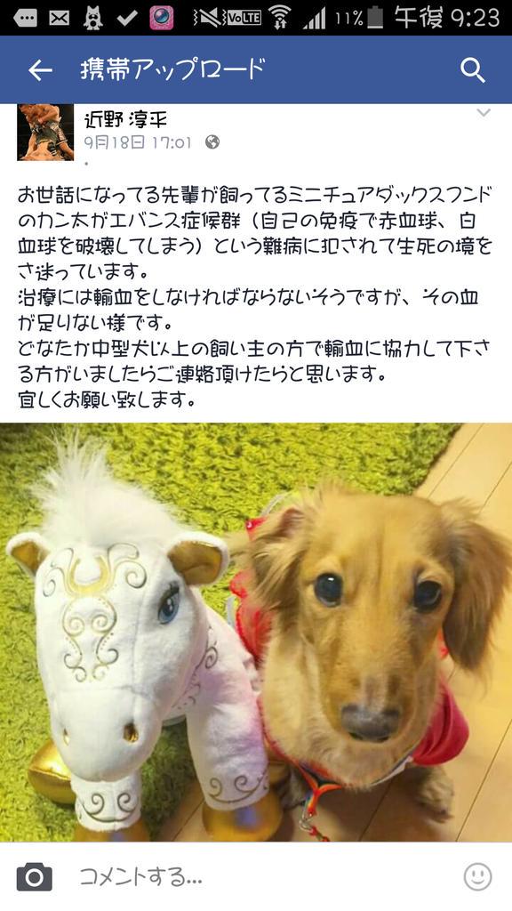 エバンス症候群 Hashtag On Twitter
