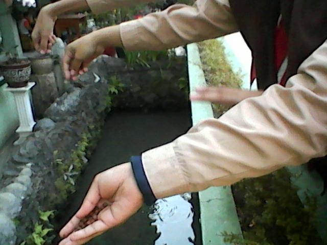 Nimas_Galuh's tweet photo. beberapa fasilitas yang menunjang sekolah ane menuju GREEN SCHOOL @GreenSchoolFest #GreenSchoolFestival #SMPN18MLG http://t.co/KAAWVspMdR