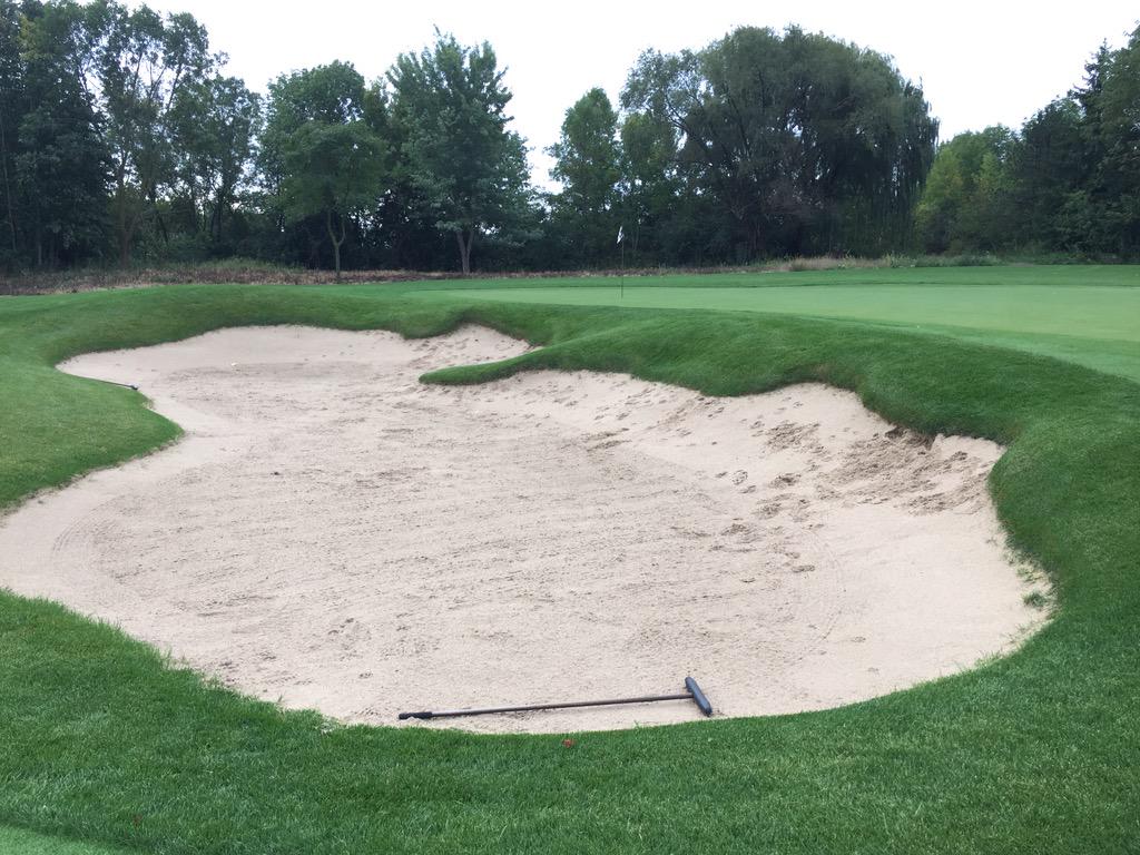 LeggyBent's tweet photo. Spot raking is very difficult when you have #coyoteproblems http://t.co/MGYg50oamG