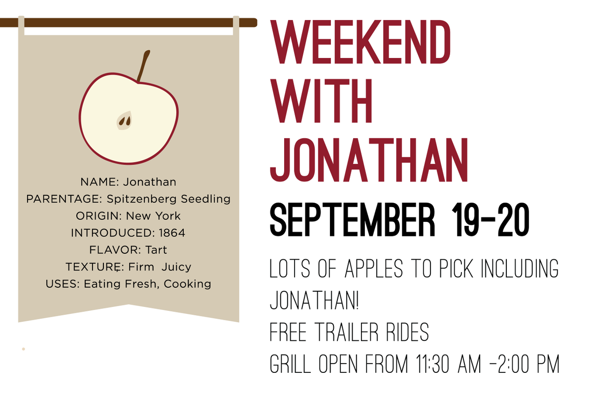 Weekend with Jonathan at the orchard! Come check out this American classic along with lots of other great apples!