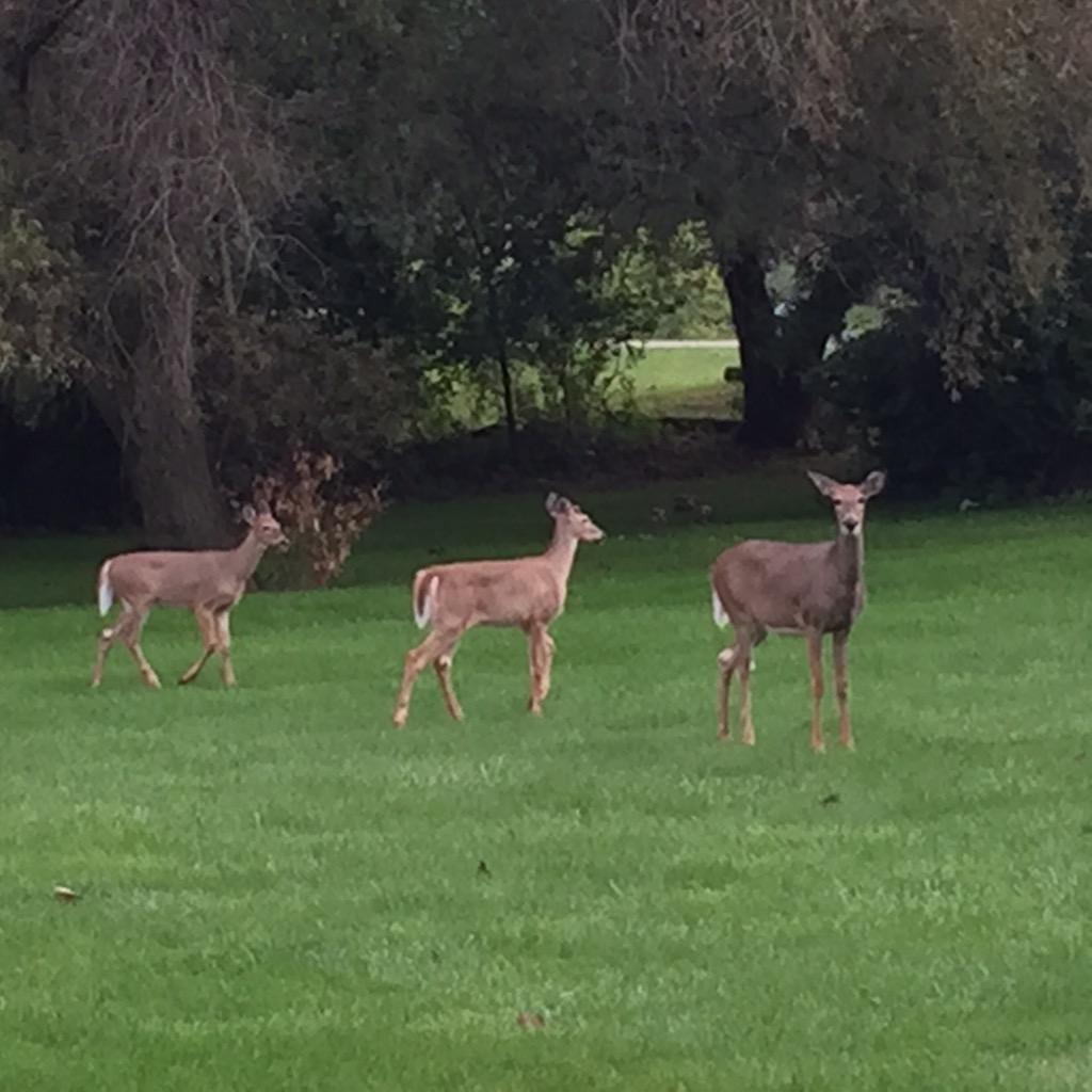 ChiefRubin's tweet photo. Great 5 mile run yesterday. Momma wants to know who is talking all of those pictures of her & the boyz? #Justexercise http://t.co/vDXRGZLOhR