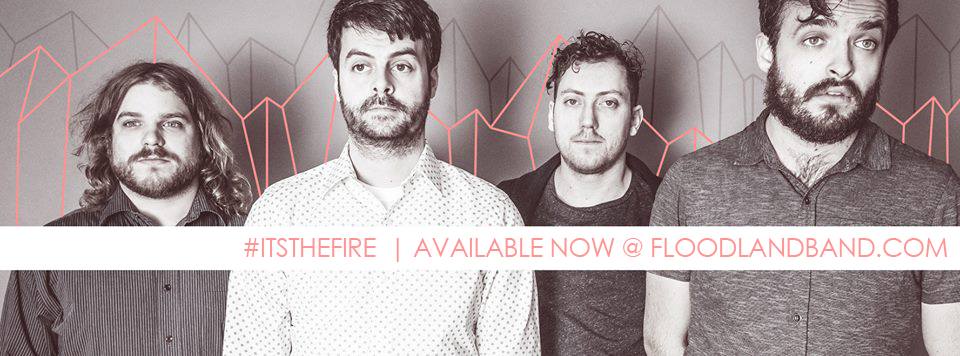 Tracy Petukhov tweet media