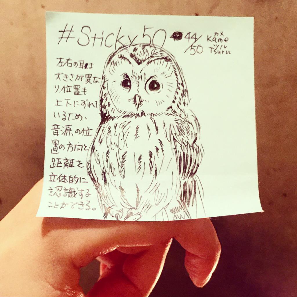 亀山鶴子 かめつる フクロウ 梟 鴞 学名 Strix Uralensis Pallas 1771 は フクロウ目 フクロウ科フクロウ属に分類される猛禽類である鳥類の一種 Sticky50 かめつるsticky50 Owl Http T Co Dcujl9m36x 亀山鶴子 かめつる フクロウ 梟 鴞 学名 Strix Uralensis Pallas 1771 は フクロウ目 フクロウ科フクロウ属に分類される猛禽類である鳥類の一種 Sticky50 かめつるsticky50 Owl Http T Co Dcujl9m36x