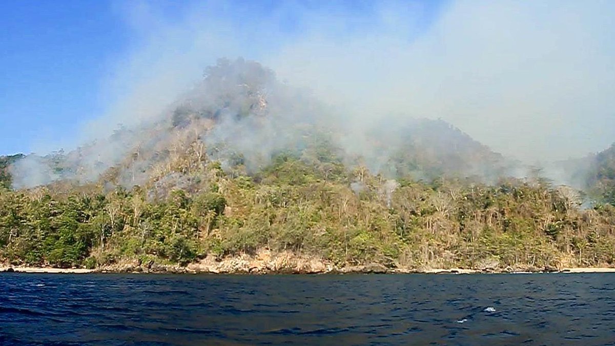 SaveBangka's tweet photo. @KakaSlankdotcom SOS — Bangka on fire! Help to fix water pipes needed! https://t.co/XfFRKipM6v #SaveBangkaIsland http://t.co/sKCGhiY22m