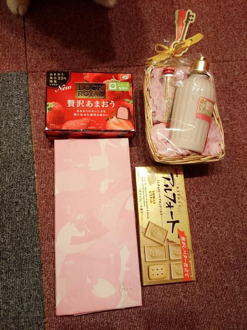 今日1日、チャー厶撮影会様ありがとうございました٩(๑❛.̮❛๑)۶💕  久しぶりに会えたかたと、初めてお会いしたがたに会えてとても良い1日でした(,,> <,,)♡ プレゼントもありがとうございます٩(๑❛
