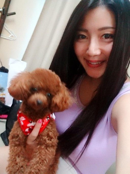 チャー厶さんの、プーちゃん(,,> <,,)♡ めっちゃ可愛い(&acute;,,&bull;&omega;&bull;,,｀) http://t.co/Ai3kLBtyZB