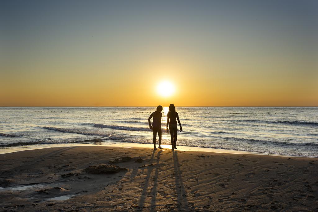 Murat SARIKAMIŞLI (@murat3645) on Twitter photo 