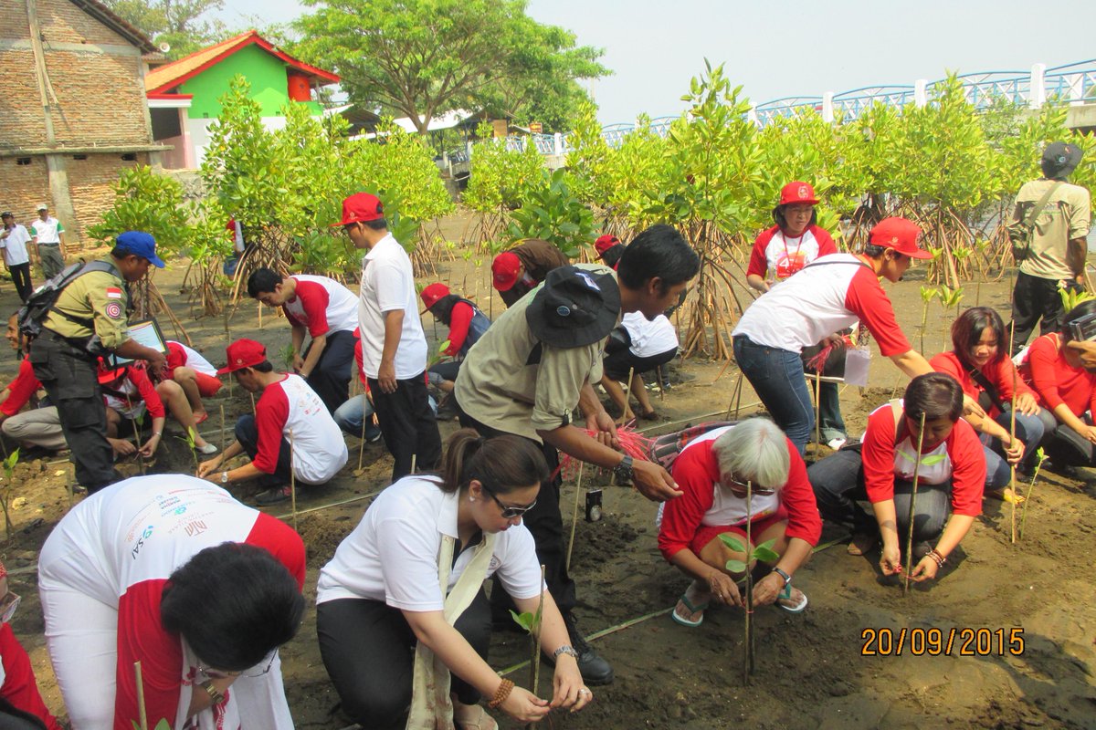 Terima kasih Martha Tilaar. Pansela &amp; semua partisipan atas kepedulian terhadap mangrove Kebumen..yg lain ditunggu..