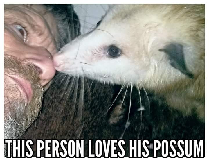 BillOSipher's tweet image. 