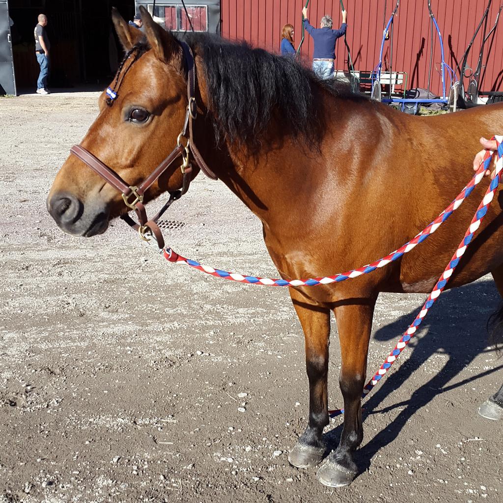 t_b_muhle's tweet photo. 2.plass på Øverste Dar i unionskampen på Färjestad,på tida 1.52,7 som e ny rekord 😊 http://t.co/hXM1LHkmpu