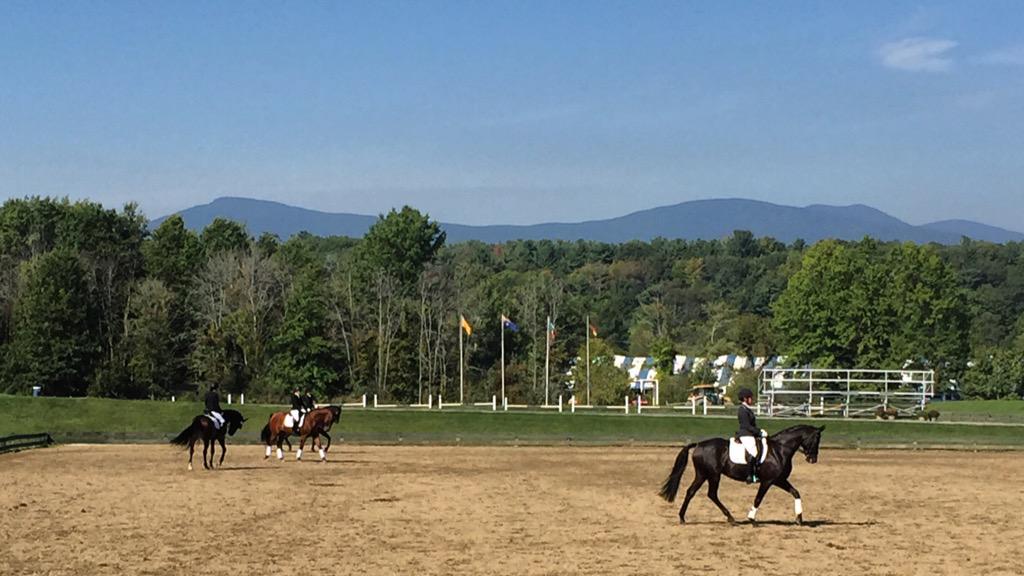NEDAPress's tweet photo. Another spectacular day at #NEDAFall 🍂🐴👌🏼 #NEDAdressage #dressage #horseshow http://t.co/kmCgltxjlS
