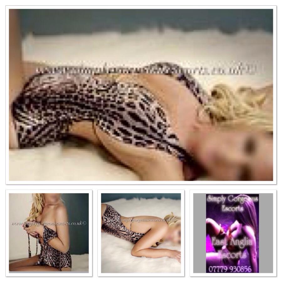 SimplyGorgeousR's tweet photo. Northampton Escort Charlotte #outcalls #Leicester #oxford #peterboro #warwickshire #bedford http://t.co/OorztFJOpC http://t.co/WJ8YARSuCZ