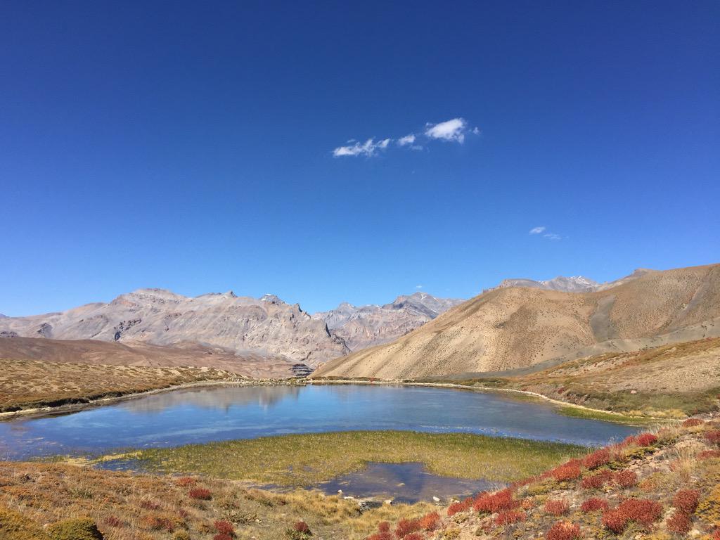 Ravi Bhaskaran tweet media