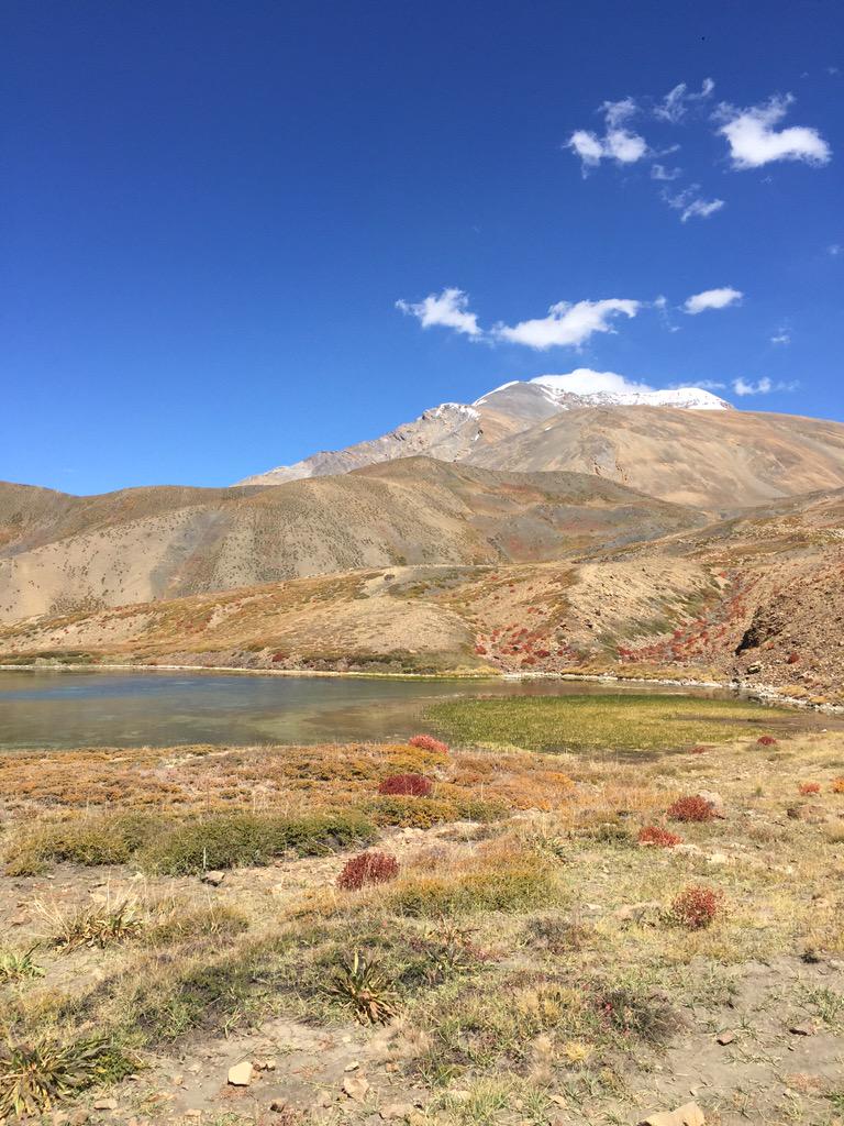 Ravi Bhaskaran tweet media