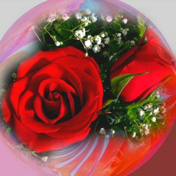 abeer86420248 tweet picture