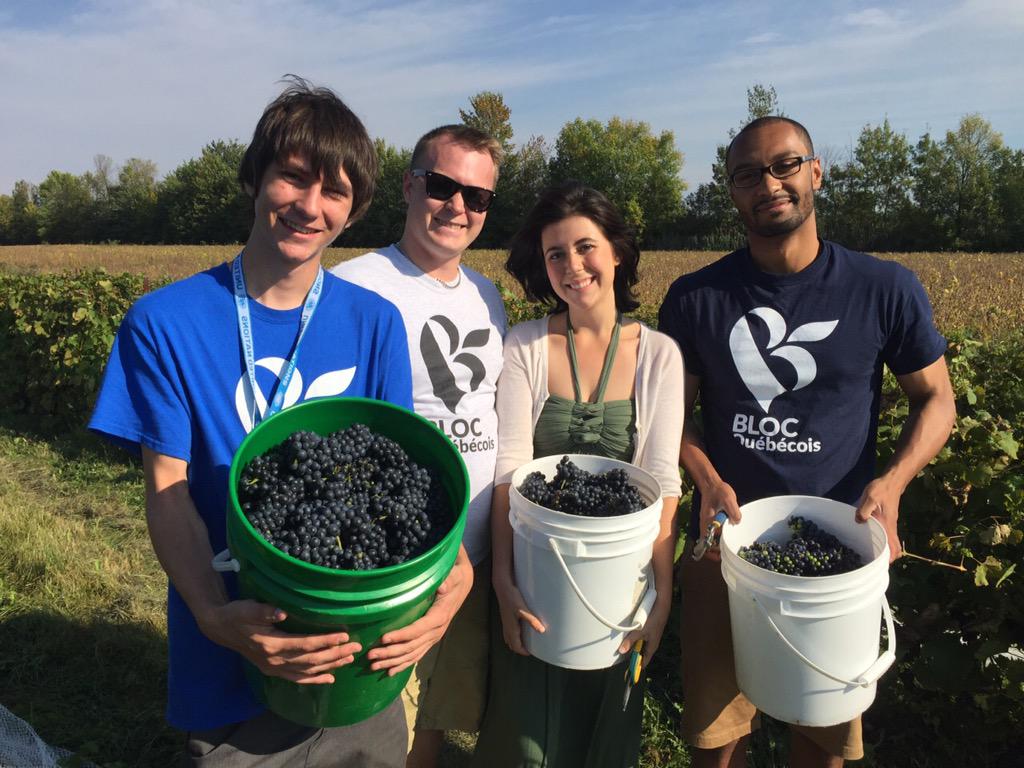louisphilipqc's tweet photo. Le #BlocQC est partout. @caaths &amp; son équipe aux vandanges du vignoble #Kobloth dans #Montarville ce matin. #polcan http://t.co/bDjgRIU7EC