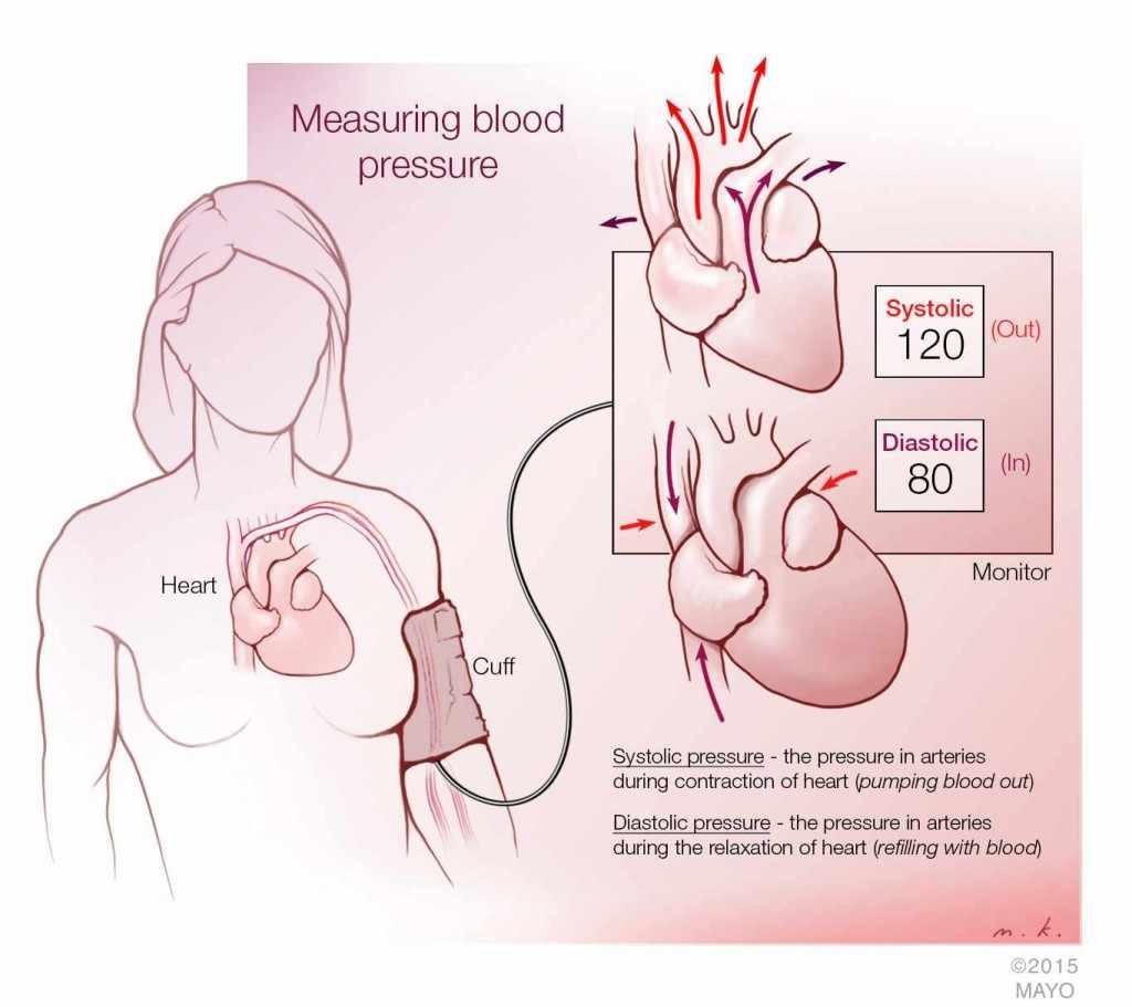 Mayo Clinic Blood Pressure Chart By Age