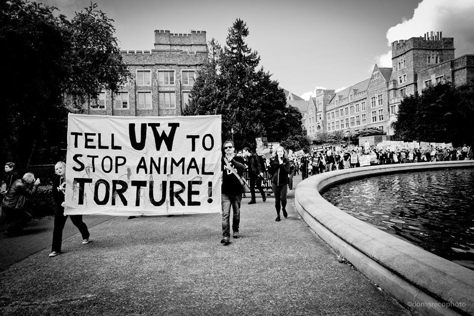 NoNewAnimalLab's tweet photo. .@UW and .@SkanskaUSA - #WeWillStopThisLab! http://t.co/W8ECprOU5Q