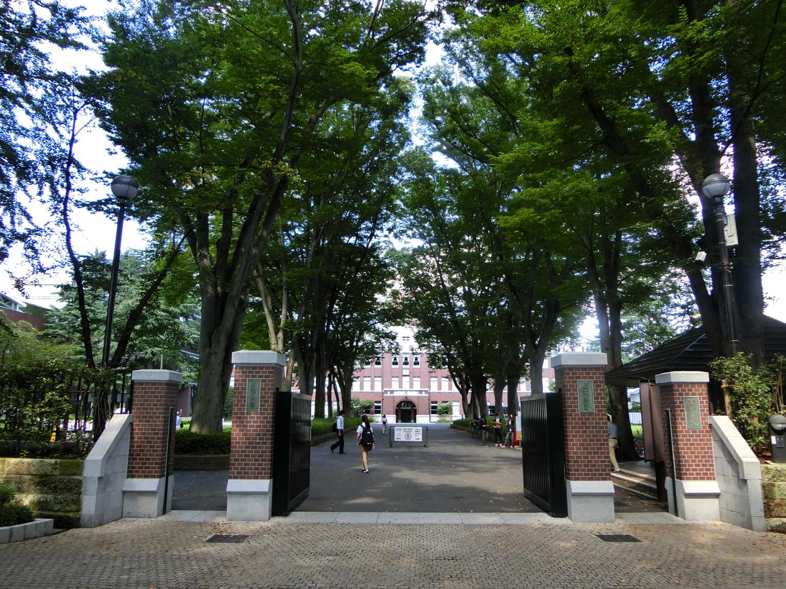 Takum Kojima Ar Twitter 散歩 成蹊大学コースに出かけた 成蹊大学正門を抜け 8号館101室に向かった 成蹊大学 欅並木 本館 成蹊学園 Http T Co Xhtsjpetfa Takum Kojima Ar Twitter 散歩 成蹊大学コースに出かけた 成蹊大学正門を抜け 8号館101室に向かった 成蹊大学 欅並木 本館 成蹊学園 Http T Co Xhtsjpetfa