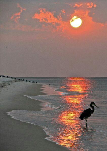 ولنَا فِى القَدر أشيَآء جَميلَة لاَ نَعرفُهَا بَعد ♥