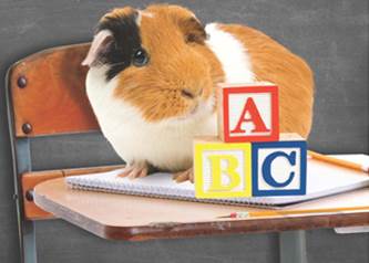 libertydocKaren's tweet photo. Right @EducationFreedo! We need a candidate that will #EndFedEd #EndFedTest & understands #OurKidsAreNOTGuineapigs! http://t.co/cff9xREvZ9