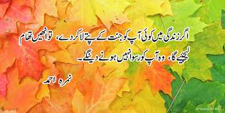 sidrakhan222's tweet photo. http://t.co/Hx5bu5kvoo