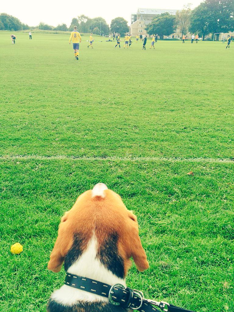 x_NatSinclair_x's tweet photo. Watching his Pops #football #drig @DaveDenison1989 http://t.co/JVoxegD5QM