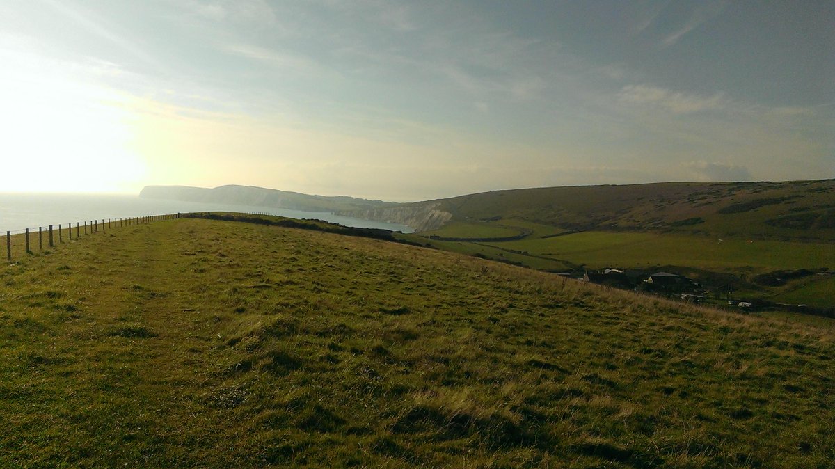 tstcdofe tweet picture
