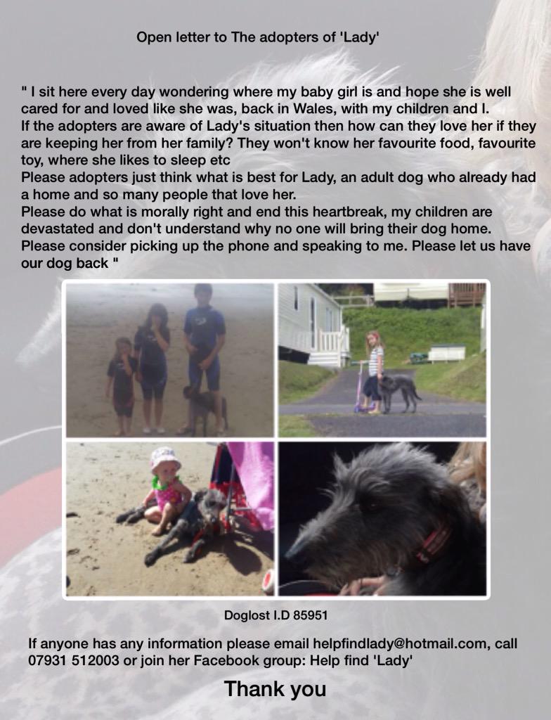 CanineCrazyBlog's tweet photo. Please RT and #Helpfindlady http://t.co/cidFhLvMtb