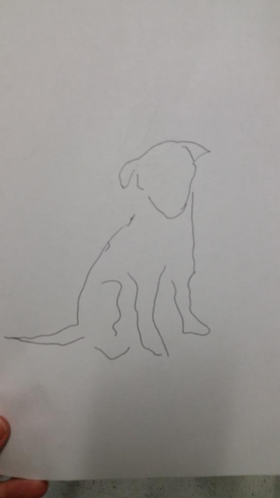 My masterpiece #osmo #EdCampPCTX15 #it'sadog