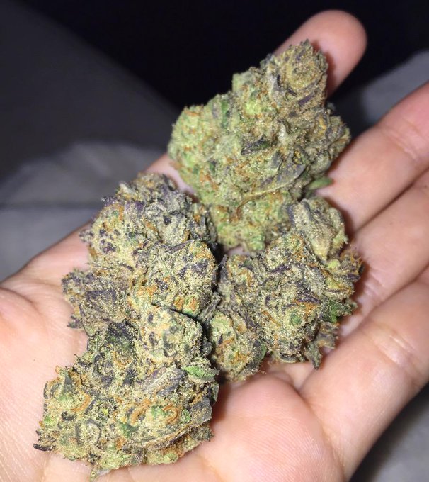 Picked up these Grandma's Cookies yesterday at Hempcon 🍪 http://t.co/PcMtWsVjfl<a href="/tag/selfie"class="tags"><span>#selfie</span></a>